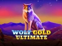 Комета казино игровой автомат wolf gold ultimate